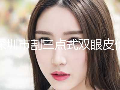 深圳市割三点式双眼皮价格价位表人气2024(近6个月均价为：10728元)